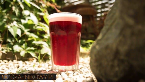 Mrożona Herbata: Hibiskus z Pianką prawie jak Piwo