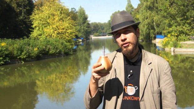 Działanie Yerba Mate, właściwości Yerba Mate